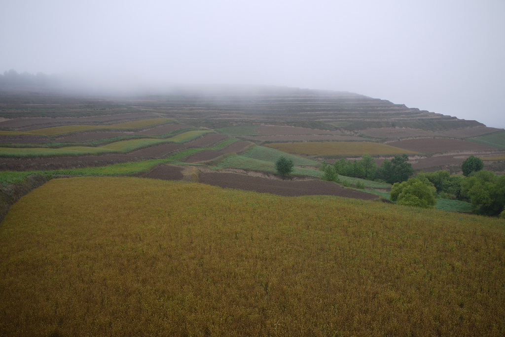The landscape of macha village